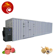Lychee Longan Dryer Large-Scale Hot Air Drying Equipment